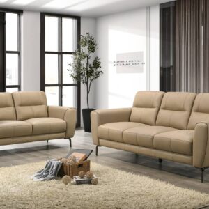 F8420<DIV> 2-Piece Sofa Set