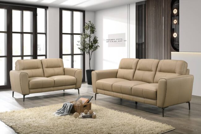 F8420<DIV> 2-Piece Sofa Set