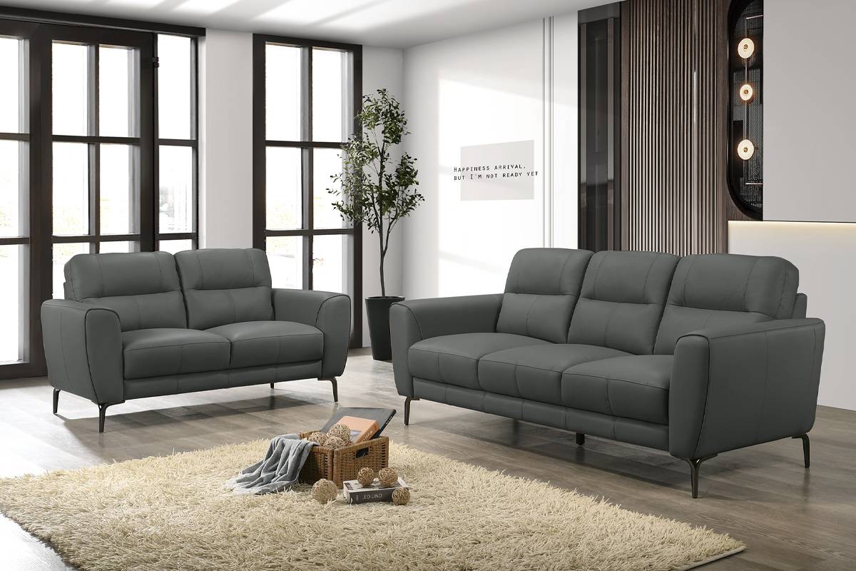 F8419 2-Piece Sofa Set