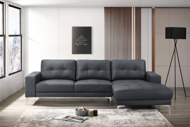 F8423<DIV> 2-Piece Sectional Set