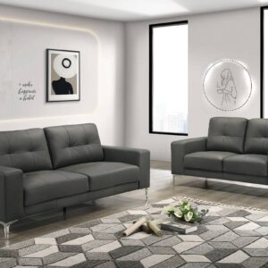 F8418<DIV> 2-Piece Sofa Set