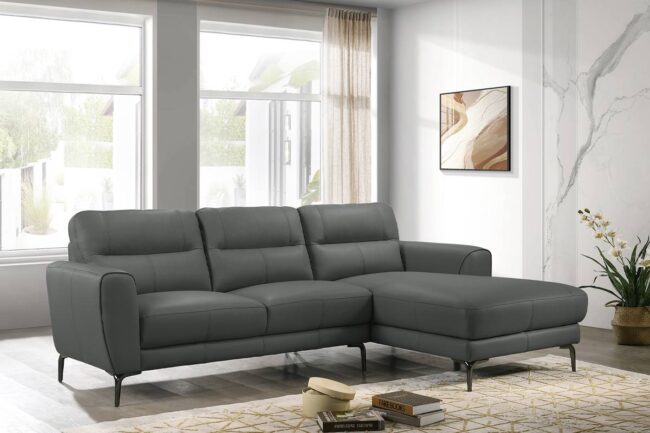 F8425<DIV> 2-Piece Sectional Set